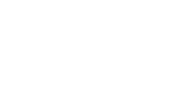 Iceland, Liechtenstain, Norway grants